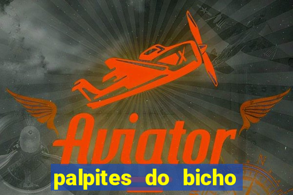 palpites do bicho no celular